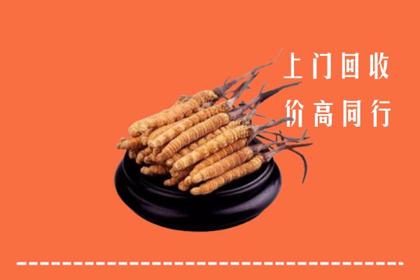 高价求购：山南市琼结县回收散虫草