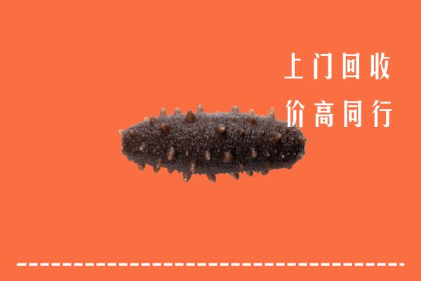 山南市琼结县回收海参