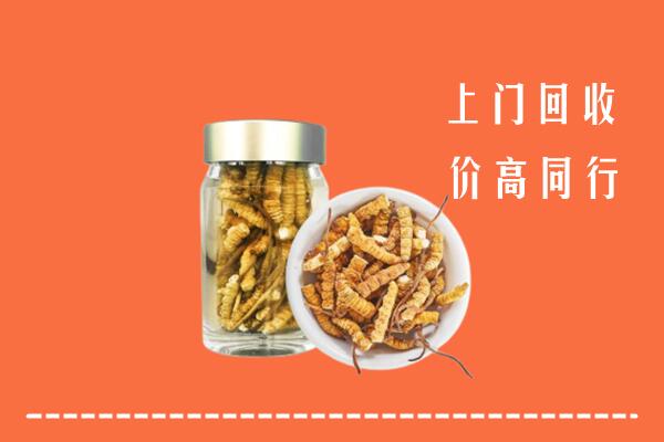 山南市琼结县回收冬虫夏草